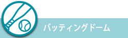 バッティングドーム